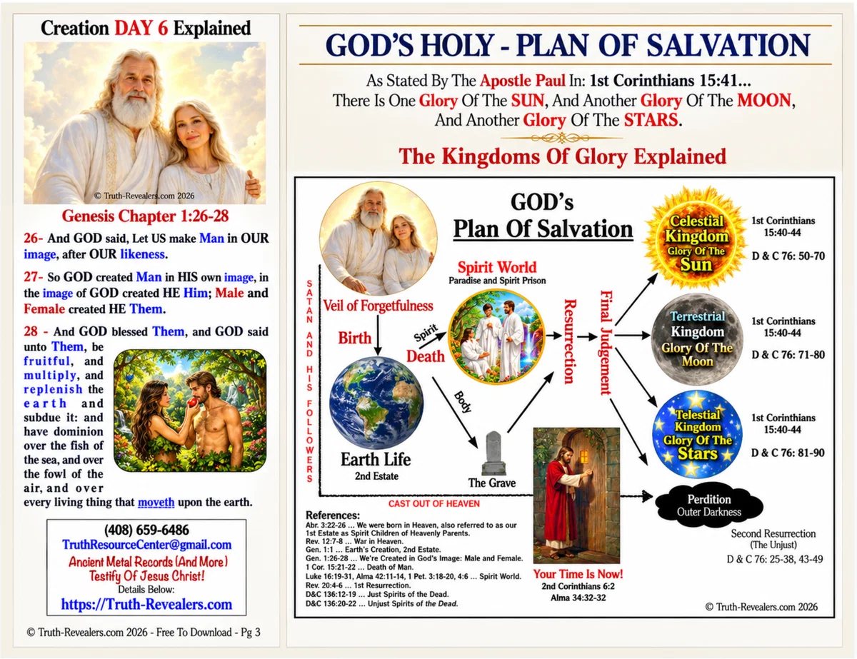 Backside / Center-Fold Shown Below